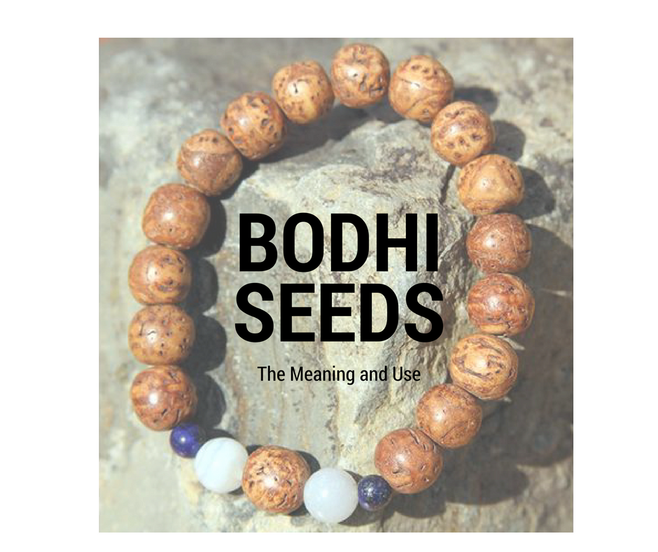 Bodhi Seeds: The Meaning and Use – Global Groove Life